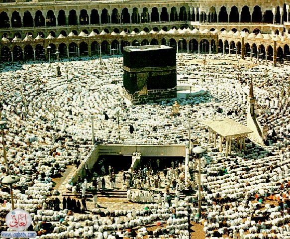 haram (11)